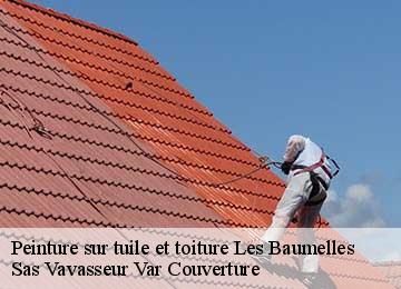 Peinture sur tuile et toiture les-baumelles-83270 Sas Vavasseur Var Couverture