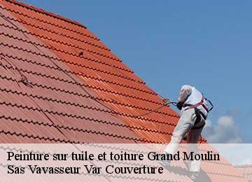 Peinture sur tuile et toiture  grand-moulin-83740 Sas Vavasseur Var Couverture