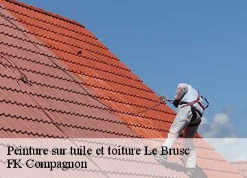 Peinture sur tuile et toiture le-brusc-83140 FK Compagnon
