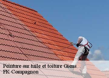 Peinture sur tuile et toiture giens-83400 FK Compagnon