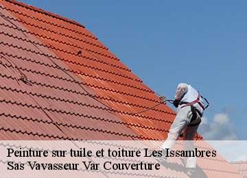 Peinture sur tuile et toiture les-issambres-83380 Janmer Couverture