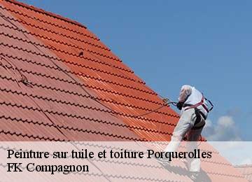 Peinture sur tuile et toiture porquerolles-83400 FK Compagnon