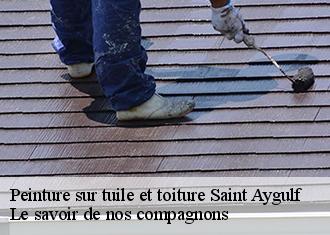 Peinture sur tuile et toiture  saint-aygulf-83370 Le savoir de nos compagnons 
