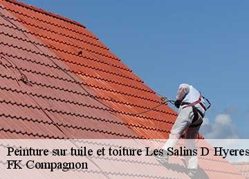 Peinture sur tuile et toiture les-salins-d-hyeres-83400 FK Compagnon