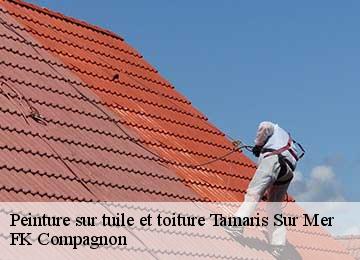 Peinture sur tuile et toiture tamaris-sur-mer-83500 FK Compagnon