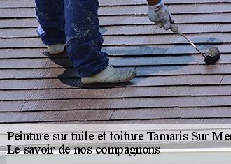 Peinture sur tuile et toiture  tamaris-sur-mer-83500 Le savoir de nos compagnons 