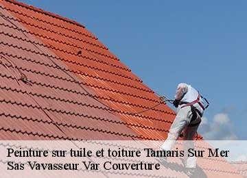 Peinture sur tuile et toiture tamaris-sur-mer-83500 Janmer Couverture