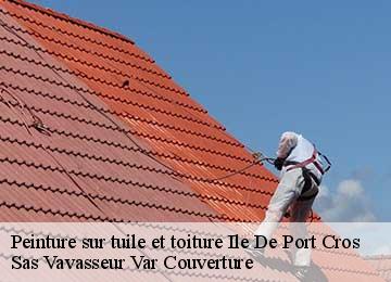 Peinture sur tuile et toiture ile-de-port-cros-83400 Sas Vavasseur Var Couverture