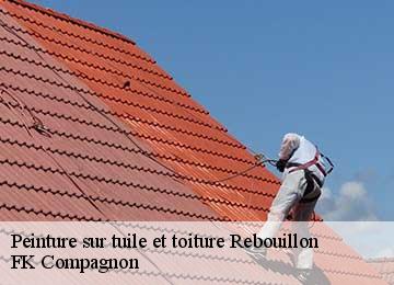 Peinture sur tuile et toiture rebouillon-83300 FK Compagnon