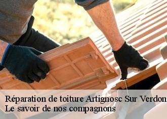 Réparation de toiture  artignosc-sur-verdon-83630 Le savoir de nos compagnons 