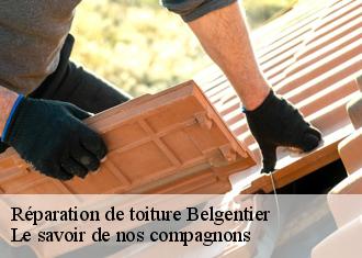 Réparation de toiture  belgentier-83210 Le savoir de nos compagnons 