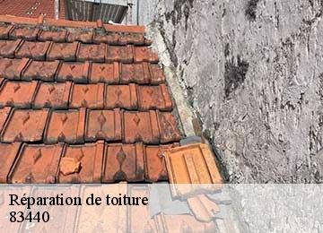 Réparation de toiture 83440