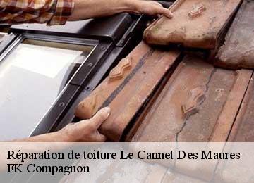 Réparation de toiture le-cannet-des-maures-83340 FK Compagnon