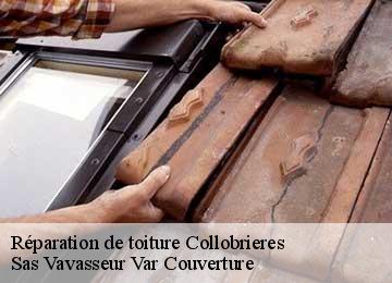 Réparation de toiture  collobrieres-83610 Sas Vavasseur Var Couverture