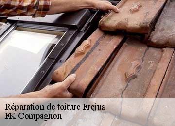 Réparation de toiture frejus-83600 FK Compagnon