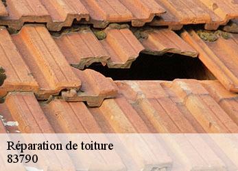 Réparation de toiture  83790