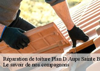 Réparation de toiture  plan-d-aups-sainte-baume-83640 Le savoir de nos compagnons 