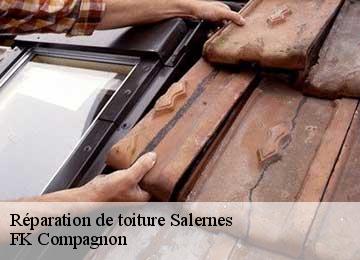 Réparation de toiture salernes-83690 FK Compagnon