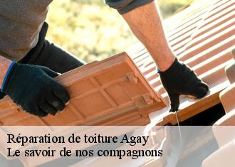 Réparation de toiture  agay-83530 Le savoir de nos compagnons 