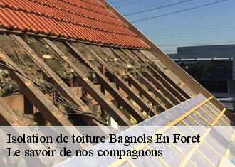 Isolation de toiture  bagnols-en-foret-83600 Le savoir de nos compagnons 