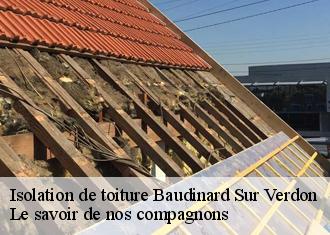 Isolation de toiture  baudinard-sur-verdon-83630 Le savoir de nos compagnons 