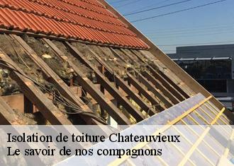 Isolation de toiture  chateauvieux-83840 Le savoir de nos compagnons 