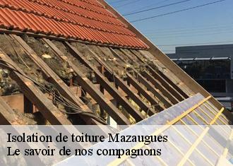Isolation de toiture  mazaugues-83136 Le savoir de nos compagnons 