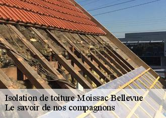 Isolation de toiture  moissac-bellevue-83630 Le savoir de nos compagnons 
