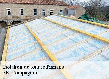 Isolation de toiture pignans-83790 FK Compagnon