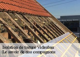 Isolation de toiture  vidauban-83550 Le savoir de nos compagnons 