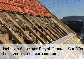 Isolation de toiture  rayol-canadel-sur-mer-83820 Le savoir de nos compagnons 