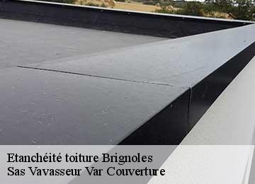 Etanchéité toiture brignoles-83170 Sas Vavasseur Var Couverture