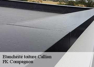 Etanchéité toiture callian-83440 FK Compagnon