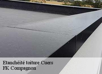 Etanchéité toiture cuers-83390 FK Compagnon