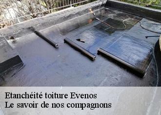 Etanchéité toiture  evenos-83330 Vavasseur Couverture