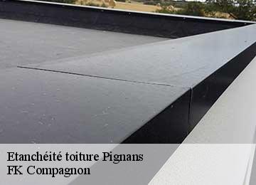 Etanchéité toiture pignans-83790 FK Compagnon