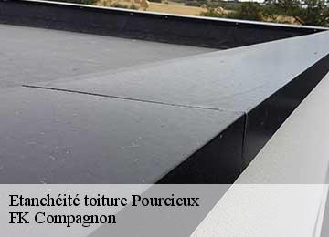 Etanchéité toiture pourcieux-83470 FK Compagnon