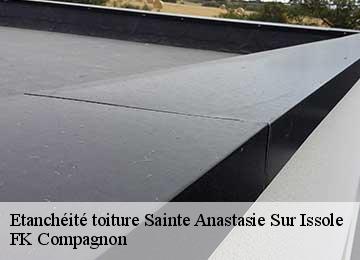 Etanchéité toiture sainte-anastasie-sur-issole-83136 FK Compagnon