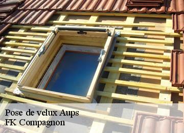 Pose de velux aups-83630 FK Compagnon