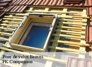 Pose de velux broves-83440 FK Compagnon
