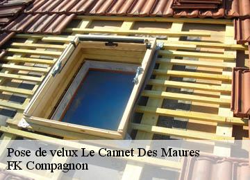 Pose de velux le-cannet-des-maures-83340 FK Compagnon
