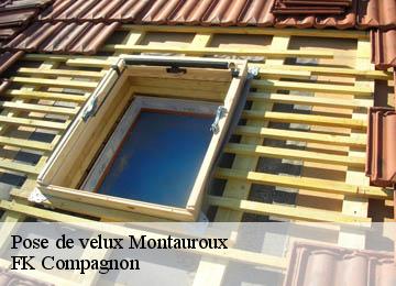 Pose de velux montauroux-83440 FK Compagnon