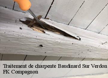 Traitement de charpente baudinard-sur-verdon-83630 FK Compagnon