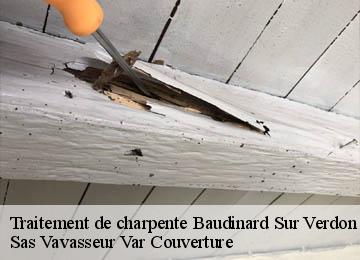 Traitement de charpente baudinard-sur-verdon-83630 Sas Vavasseur Var Couverture