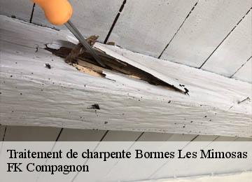 Traitement de charpente bormes-les-mimosas-83230 FK Compagnon