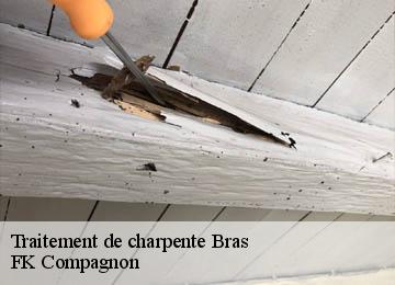Traitement de charpente bras-83149 FK Compagnon