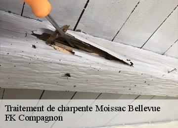 Traitement de charpente moissac-bellevue-83630 FK Compagnon