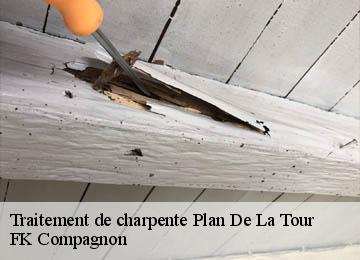 Traitement de charpente plan-de-la-tour-83120 FK Compagnon