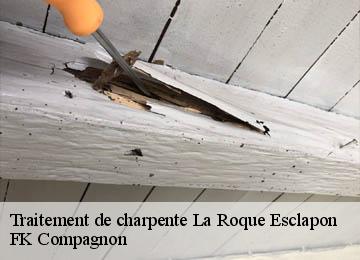 Traitement de charpente la-roque-esclapon-83840 FK Compagnon