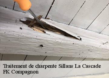 Traitement de charpente sillans-la-cascade-83690 FK Compagnon